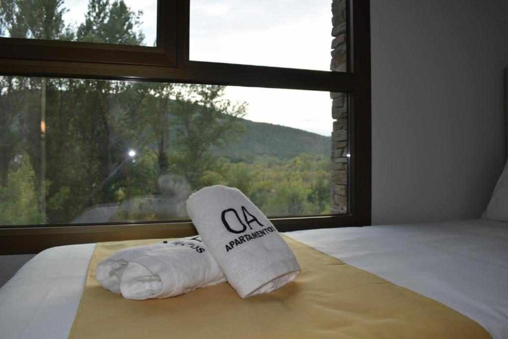 Apartamentos Ordesa Aínsa Quarto foto